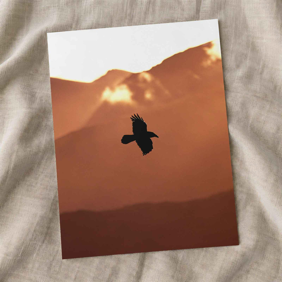 Raven Flying with Mountains in Background by Joshua Earle Photo Print Wall Decor