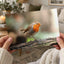 European Robin Sitting on Tree Branch Photo Print (7 Sizes) - Heavyweight