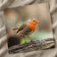 European Robin Sitting on Tree Branch Photo Print (7 Sizes) - Heavyweight