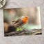 European Robin Sitting on Tree Branch by Dejan Zakic Photo Print Wall Decor