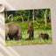 Mother Bear Protects Her Cubs Photo Wall Print (7 Sizes) - Ready to Frame