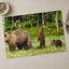 Mother Bear Protects Her Cubs Photo Wall Print (7 Sizes) - Ready to Frame