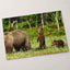 Mother Bear Protects Her Cubs Photo Wall Print (7 Sizes) - Ready to Frame
