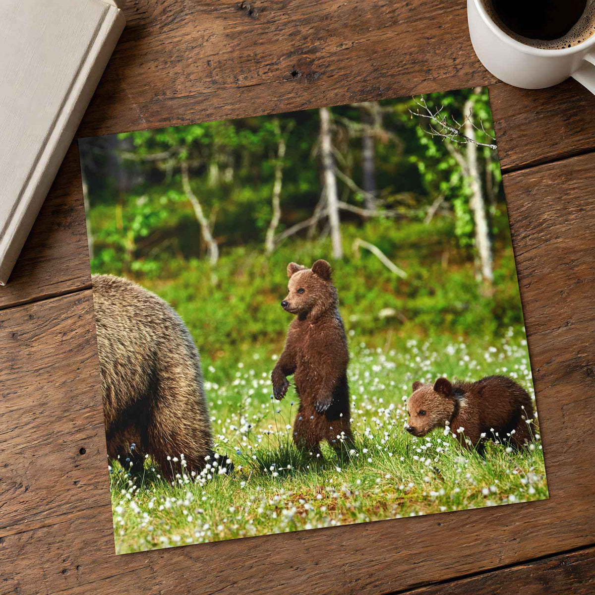 Mother Bear Protects Her Cubs Photo Wall Print (7 Sizes) - Ready to Frame