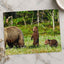 Mother Bear Protects Her Cubs Photo Print Wall Decor