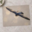 Peregrine Falcon in Flight Photography Print (7 Sizes) - Satin Luster