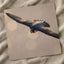 Peregrine Falcon in Flight Photography Print (7 Sizes) - Satin Luster