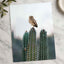 Small Owl Perched Atop a Prickly Cactus Photographic Art Print (7 Sizes)