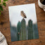 Small Owl Perched Atop a Prickly Cactus Photographic Art Print (7 Sizes)
