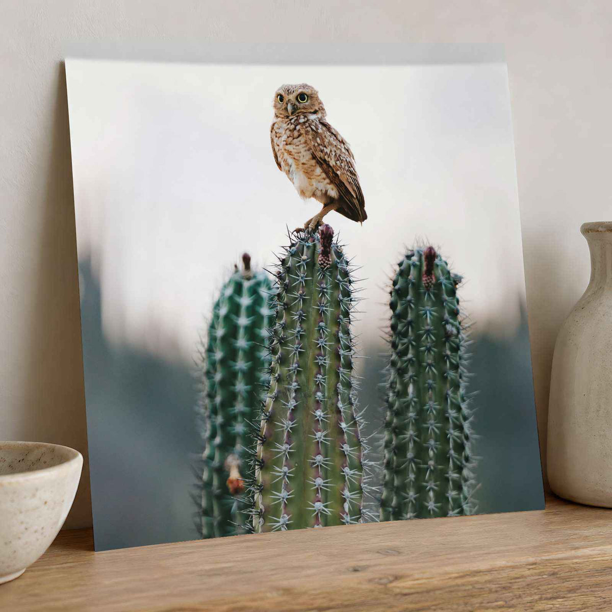 Small Owl Perched Atop a Prickly Cactus Photographic Art Print (7 Sizes)