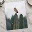Small Owl Perched Atop a Prickly Cactus Photographic Art Print (7 Sizes)