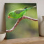 Parakeet Perched on Branch Photographic Art Print (7 Sizes) - Heavyweight