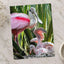 Roseate Spoonbill with Chicks Photo Print (7 Sizes) - Printed in USA