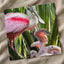 Roseate Spoonbill with Chicks Photo Print (7 Sizes) - Printed in USA