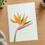 Bird of Paradise Flower Photographic Art Print (7 Sizes) - High Quality