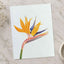 Bird of Paradise Flower Photographic Art Print (7 Sizes) - High Quality