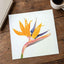 Bird of Paradise Flower Photographic Art Print (7 Sizes) - High Quality