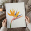 Bird of Paradise Flower Photographic Art Print (7 Sizes) - High Quality