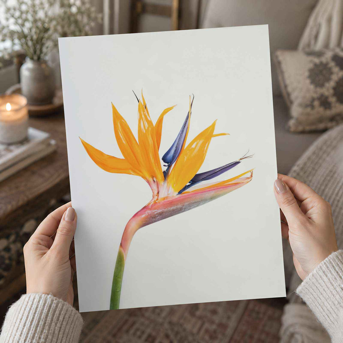 Bird of Paradise Flower Photographic Art Print (7 Sizes) - High Quality
