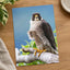 Peregrine Falcon Perched Photo Print (4 Sizes) - Shipped Flat