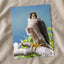 Peregrine Falcon Perched Photo Print (4 Sizes) - Shipped Flat