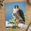 Peregrine Falcon Perched Photo Print (4 Sizes) - Shipped Flat
