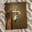 Blue Tit under Water Tap Photography Print (6 Sizes) - Premium Quality