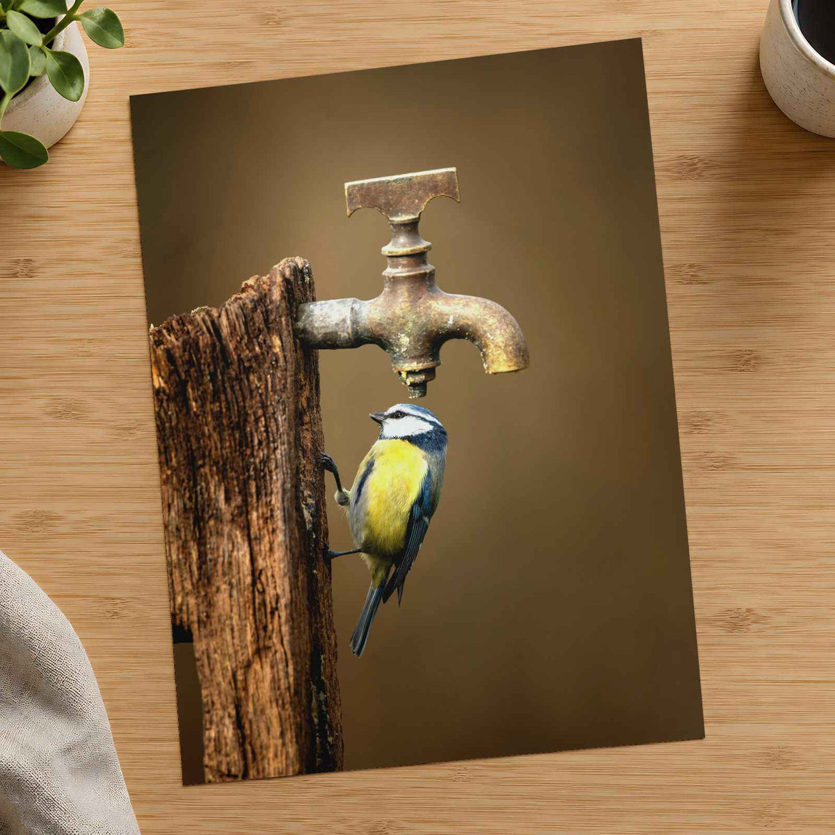 Blue Tit under Water Tap Photography Print (6 Sizes) - Premium Quality
