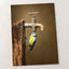 Blue Tit under Water Tap Photography Print (6 Sizes) - Premium Quality