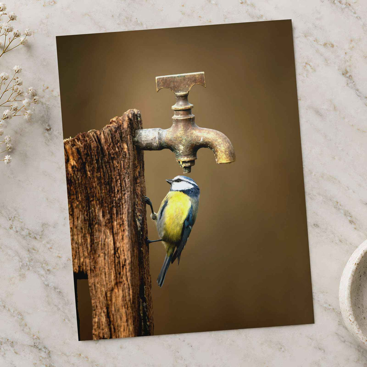 Blue Tit under Water Tap Photography Print (6 Sizes) - Premium Quality