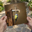 Blue Tit under Water Tap Photography Print (6 Sizes) - Premium Quality