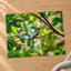 Tropical Bird Perched on Tree Branch Panamá Photography Print (7 Sizes)