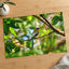 Tropical Bird Perched on Tree Branch Panamá Photography Print (7 Sizes)