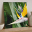 Colorful Bird of Paradise Flower in Garden Photo Wall Print (7 Sizes)