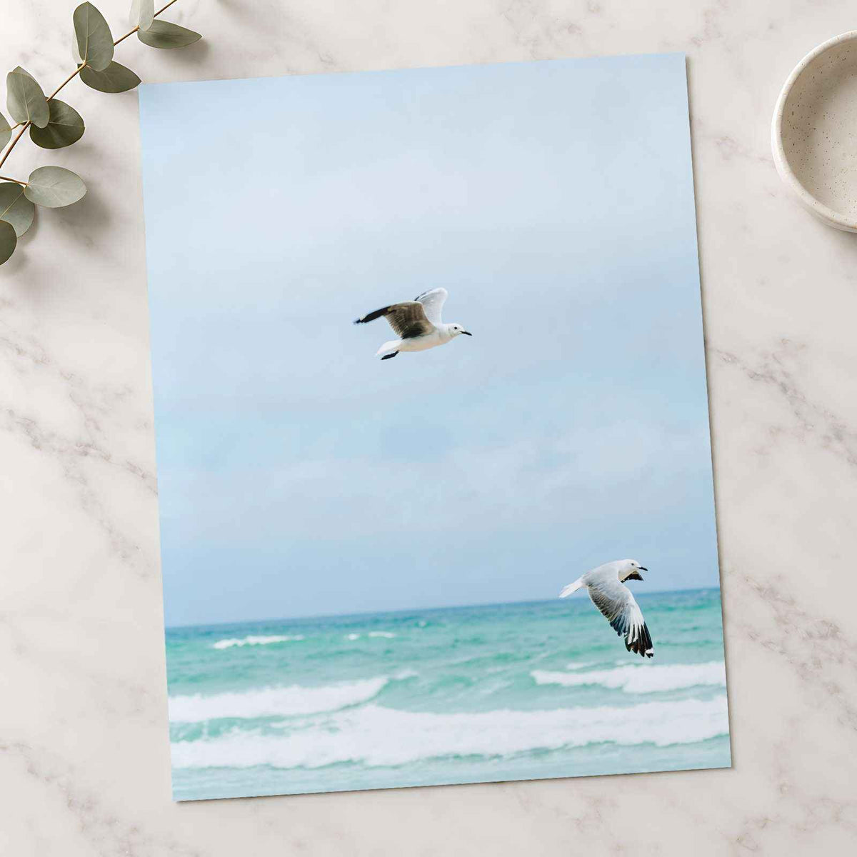 Seagulls at Cape Town Beach Photographic Art Print (7 Sizes) - Heavyweight