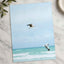 Seagulls at Cape Town Beach Photographic Art Print (7 Sizes) - Heavyweight