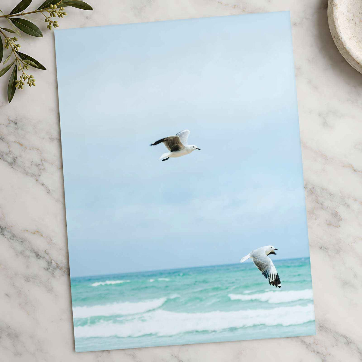 Seagulls at Cape Town Beach Photographic Art Print (7 Sizes) - Heavyweight