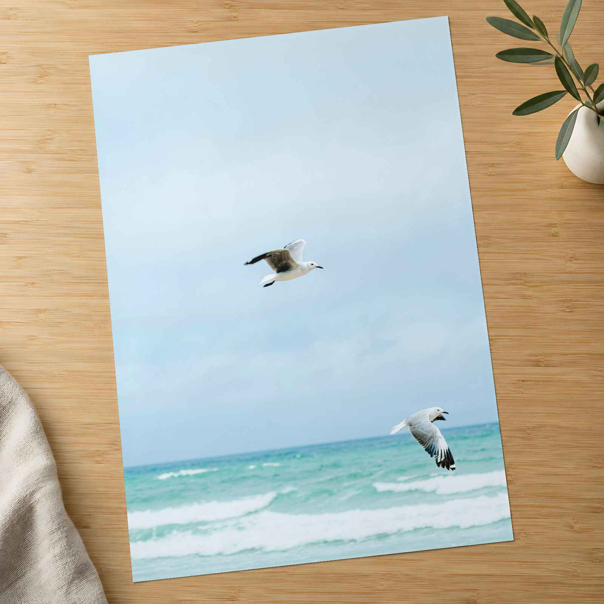 Seagulls at Cape Town Beach Photographic Art Print (7 Sizes) - Heavyweight