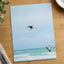 Seagulls at Cape Town Beach Photographic Art Print (7 Sizes) - Heavyweight