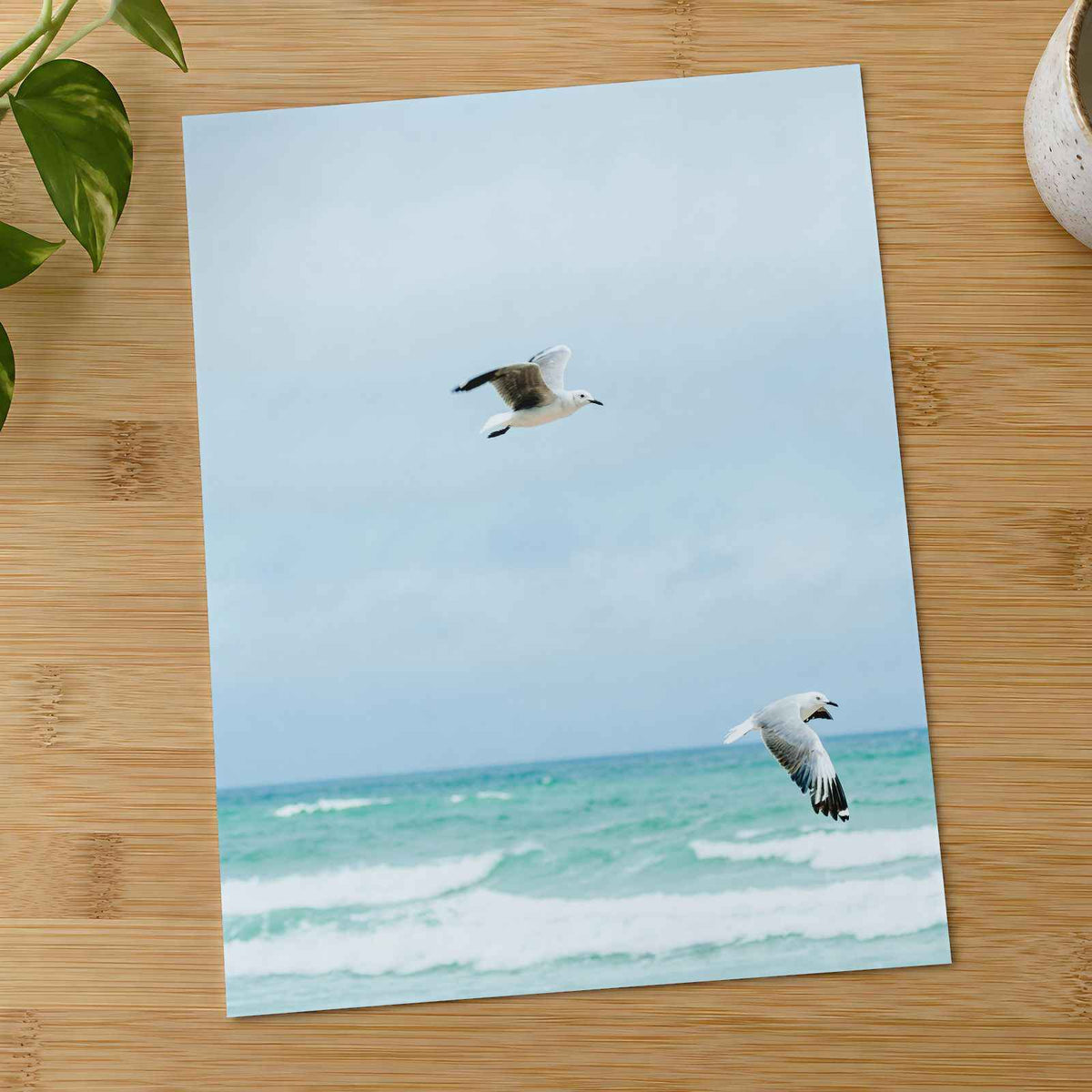 Seagulls at Cape Town Beach Photographic Art Print (7 Sizes) - Heavyweight