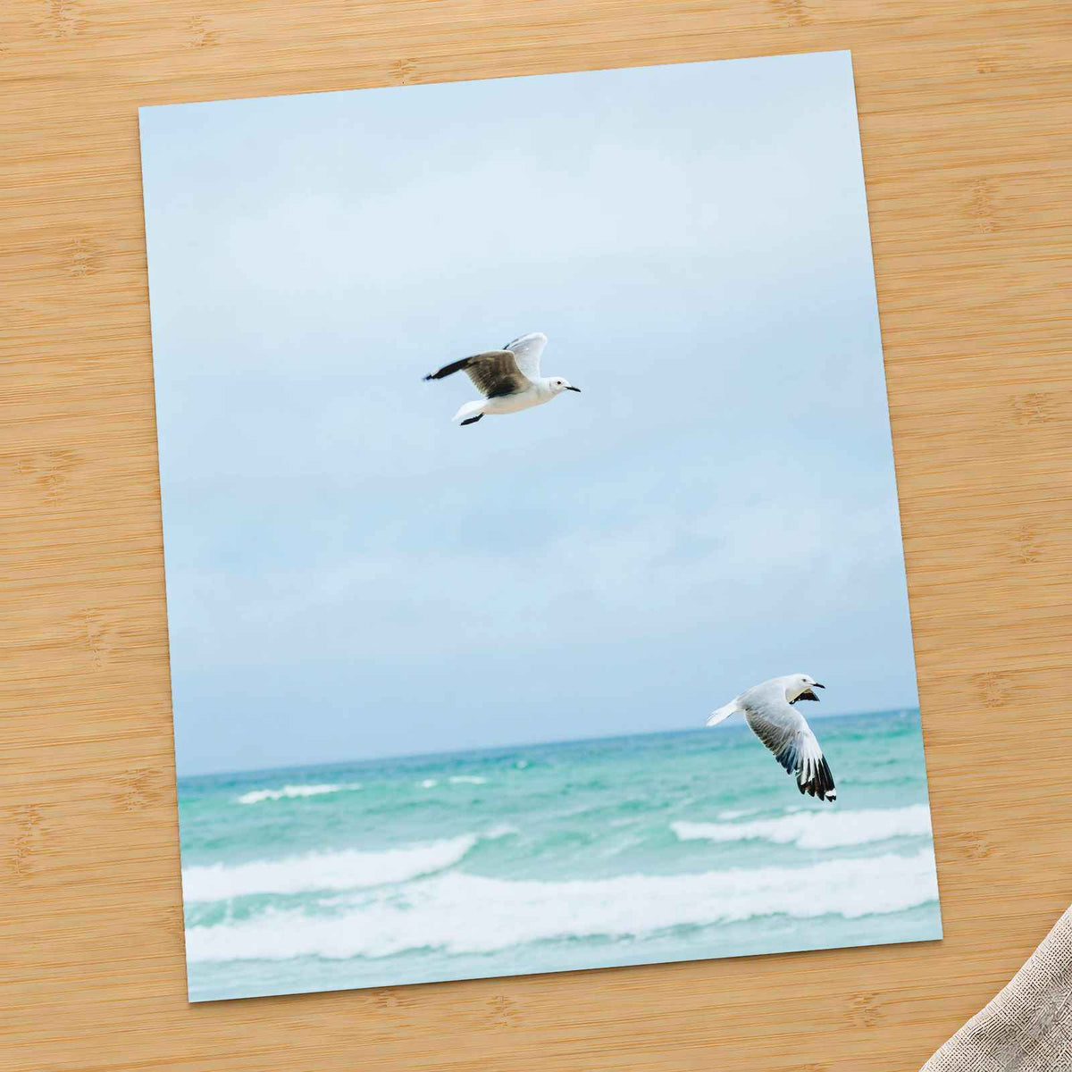Seagulls at Cape Town Beach by Rowen Smith Photo Print Wall Decor