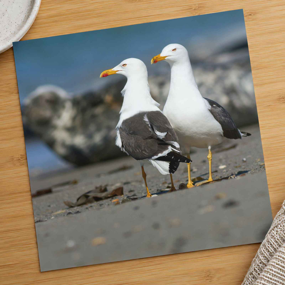 Two Seagulls Standing on Beach Photo Wall Print (7 Sizes) - Heavyweight