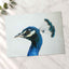 Peacock Side Portrait Photographic Art Print (7 Sizes) - High Quality