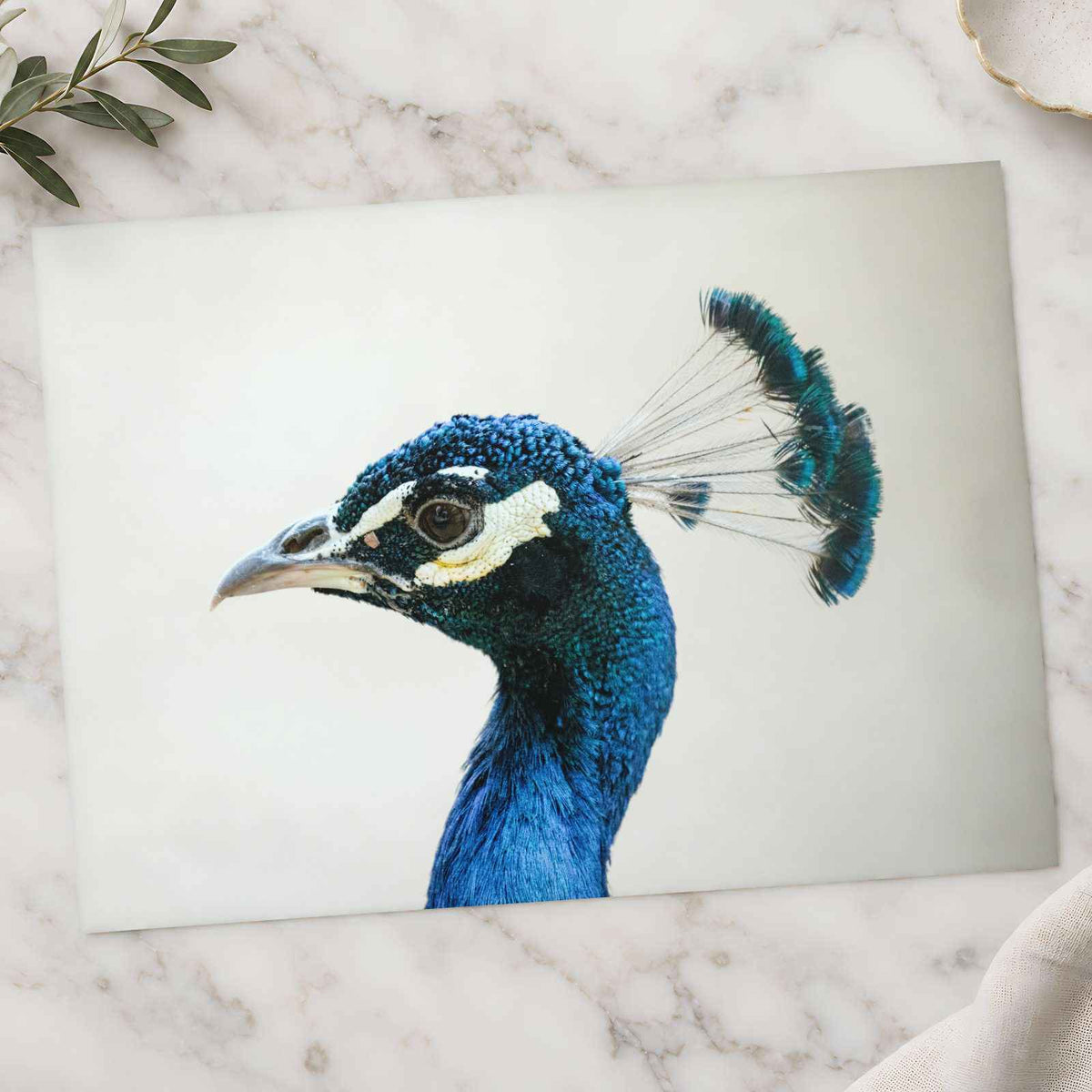 Peacock Side Portrait Photographic Art Print (7 Sizes) - High Quality