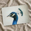 Peacock Side Portrait Photographic Art Print (7 Sizes) - High Quality