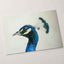 Peacock Side Portrait Photographic Art Print (7 Sizes) - High Quality