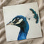 Peacock Side Portrait Photographic Art Print (7 Sizes) - High Quality