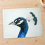 Peacock Side Portrait by Jason Leung Photo Print Wall Decor