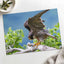 Peregrine Falcon Ready for Take Off Photo Wall Print (7 Sizes) - Printed in USA