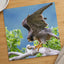 Peregrine Falcon Ready for Take Off Photo Wall Print (7 Sizes) - Printed in USA